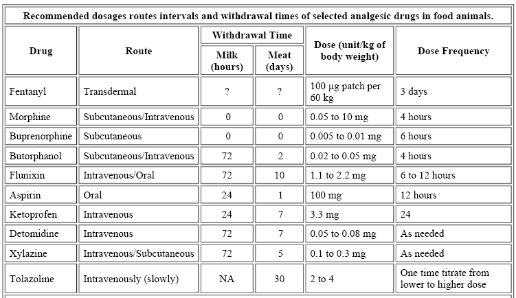 Gabapentin 100mg para que sirve